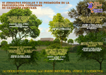 VI Jornadas sociales y de promoción de la participación ciudadana