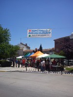 Video-Reportaje del I Mercadillo Agroecológico en Campo de Criptana